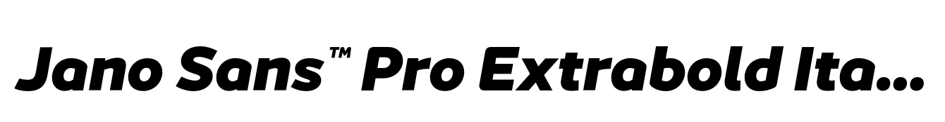 Jano Sans™ Pro Extrabold Italic image